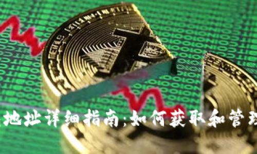 IM Token钱包地址详细指南：如何获取和管理你的加密资产