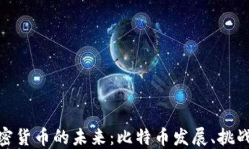 
数字加密货币的未来：比特币发展、挑战与机遇