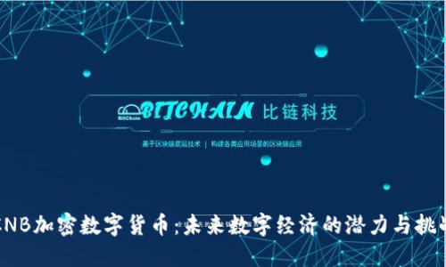 CNB加密数字货币：未来数字经济的潜力与挑战