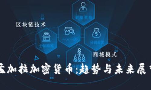 孟加拉加密货币：趋势与未来展望