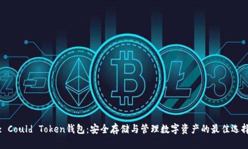 : Could Token钱包：安全存储与管理数字资产的最佳选择