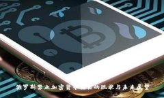 俄罗斯禁止加密货币交易