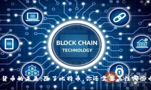 加密货币的未来：除了比特币，你还需要关注哪些币种？
