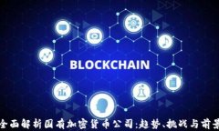 全面解析国有加密货币公