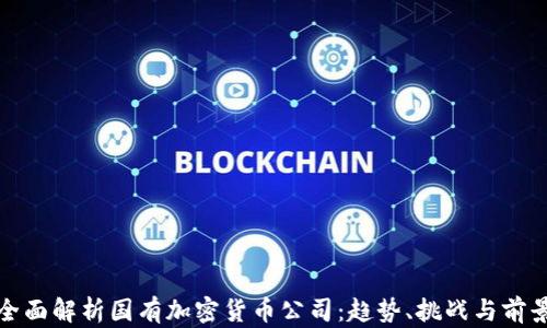 
全面解析国有加密货币公司：趋势、挑战与前景