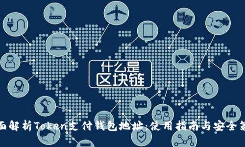 全面解析Token支付钱包地址：使用指南与安全策略