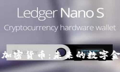 王兴与加密货币：未来的数字金融桥梁