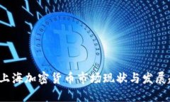 2023年上海加密货币市场现
