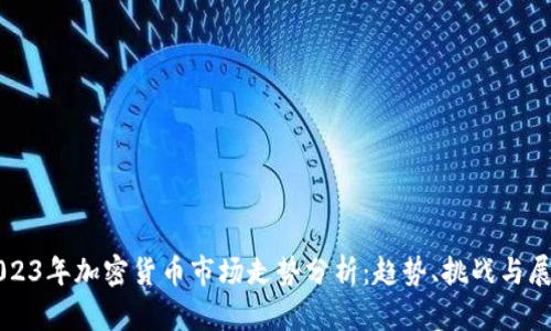 2023年加密货币市场走势分析：趋势、挑战与展望
