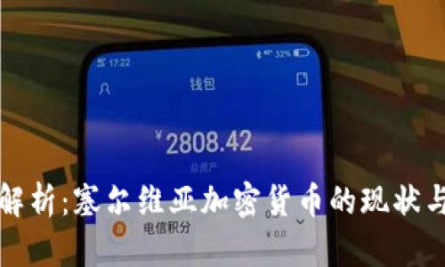 全面解析：塞尔维亚加密货币的现状与前景