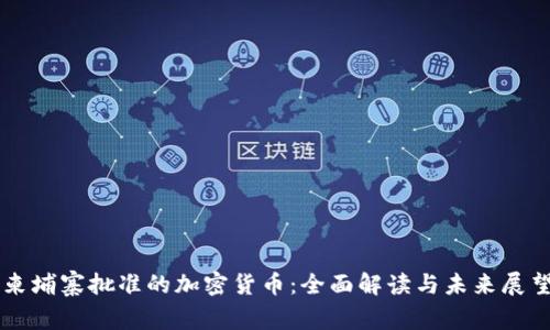 柬埔寨批准的加密货币：全面解读与未来展望