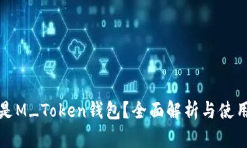 什么是M_Token钱包？全面解析与使用指南