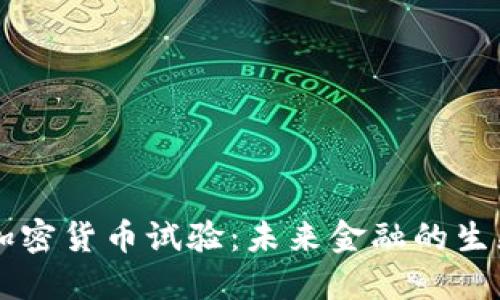 美国加密货币试验:未来金融的生态变革
