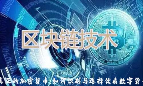 
真正的加密货币：如何识别与选择优质数字货币