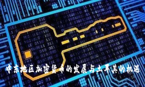 中东地区加密货币的发展与土耳其的机遇
