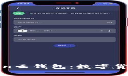 全面解析Cloud Token云钱包：数字货币的安全及使用体验