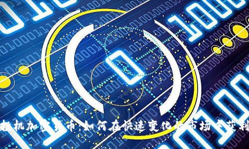 投机加密货币：如何在快速变化的市场中获利