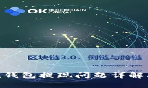币安Token钱包提现问题详解及解决方案