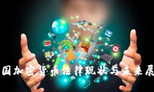 我国加密货币法律现状与未来展望
