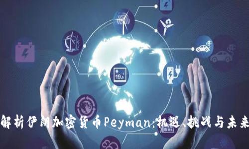 深入解析伊朗加密货币Peyman：机遇、挑战与未来发展