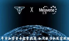 2023年牛市加密货币投资指