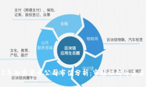 2023年加密货币公司市值分析：市场动向与未来展望