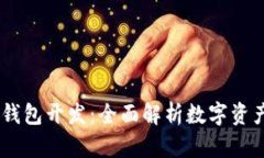 Plus Token钱包开发：全面解