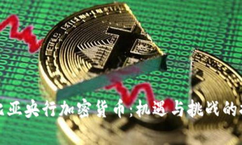 赞比亚央行加密货币：机遇与挑战的探讨