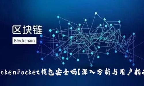 TokenPocket钱包安全吗？深入分析与用户指南