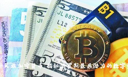 战斗民族加密货币：揭秘俄罗斯最具潜力的数字资产