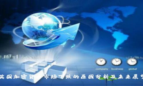 英国加密货币市场下跌的原因分析及未来展望
