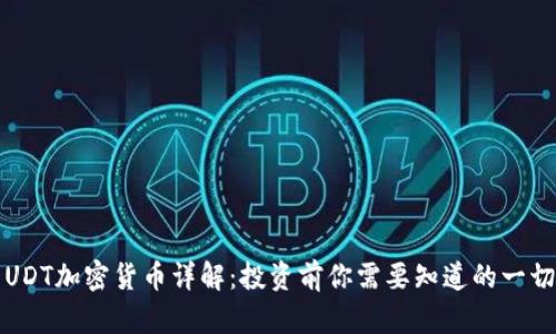 UDT加密货币详解：投资前你需要知道的一切