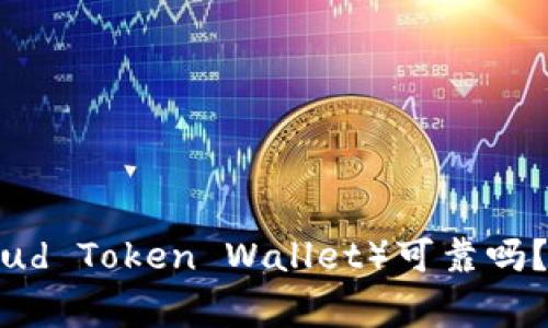 云管家钱包（Cloud Token Wallet）可靠吗？全面解析与评估