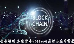 全面解析：加密货币Stee