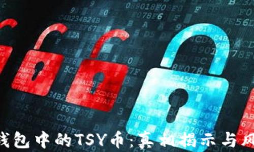 
Token钱包中的TSY币：真相揭示与风险分析
