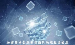 加密货币金融分析团队的
