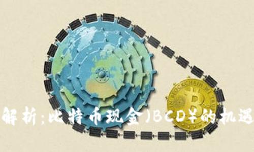 全方位解析：比特币现金（BCD）的机遇与挑战