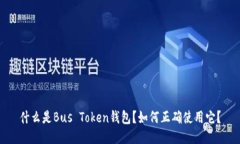 什么是Bus Token钱包？如何