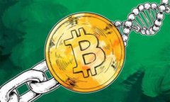 v-token钱包30：全面解析与