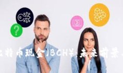 深入了解比特币现金（B