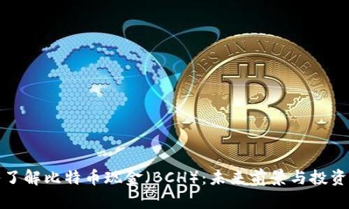 深入了解比特币现金（BCH）：未来前景与投资机会